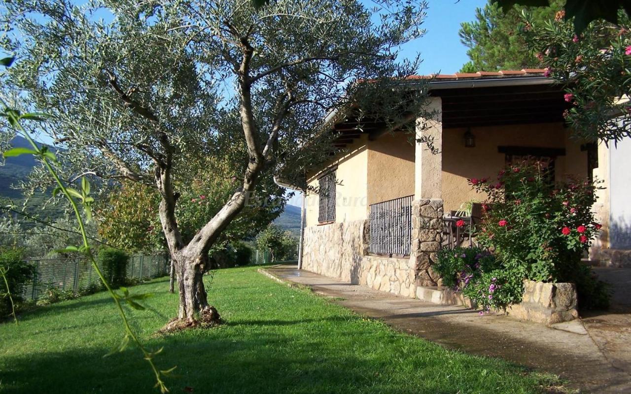 Casa Rural Josefina 1 Y 2 Navaconcejo Exteriör bild