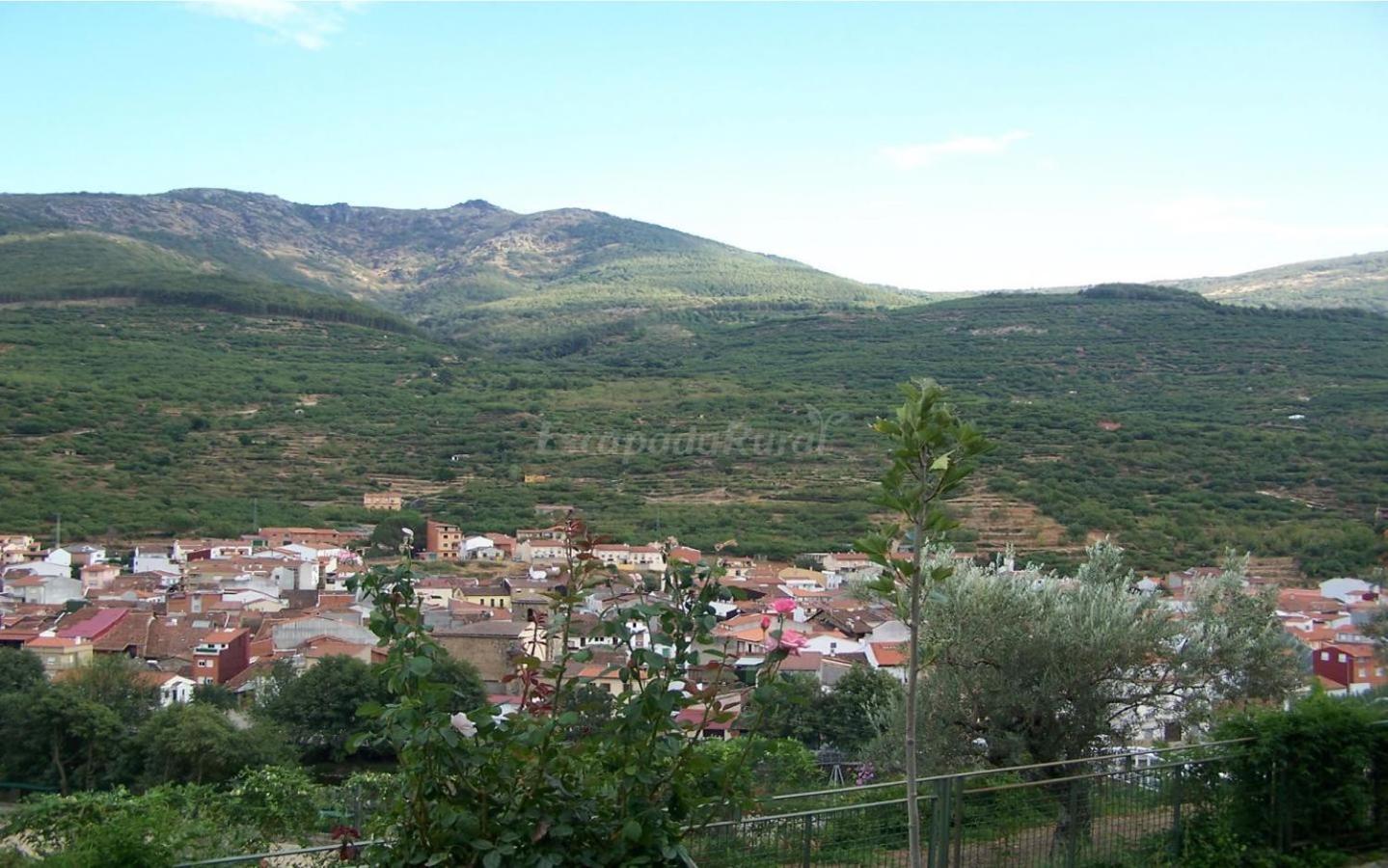 Casa Rural Josefina 1 Y 2 Navaconcejo Exteriör bild